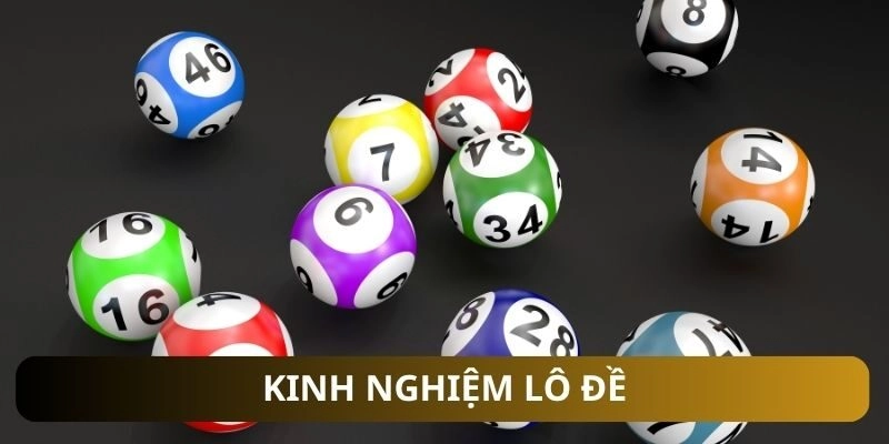 soi-cau-lo-roi-de-co-the-bat-bach-thu-lo-khung-1-ngay-chuan-xac